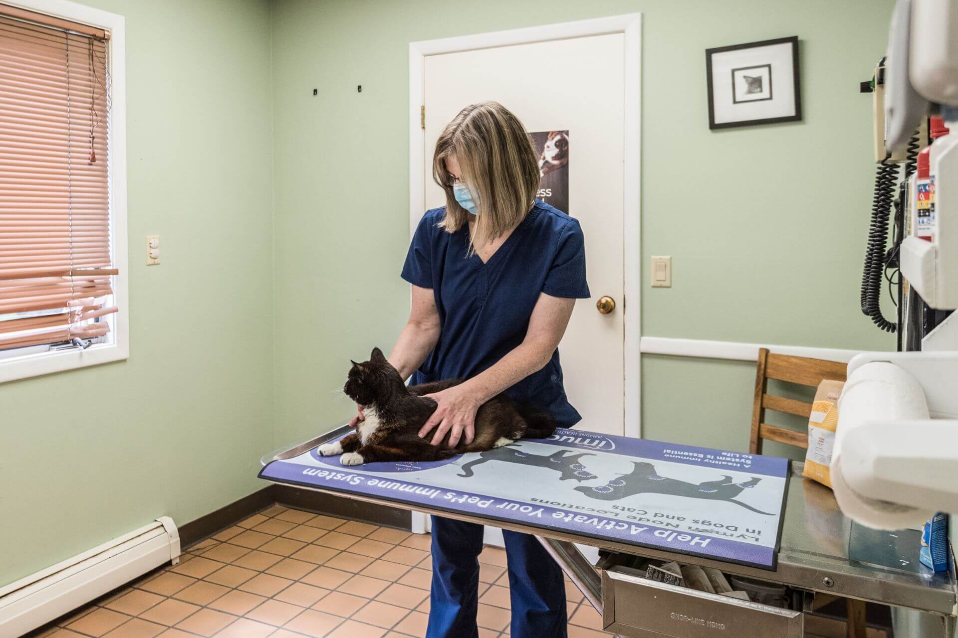 Pet Microchipping  Mountain Empire Small Animal Hospital