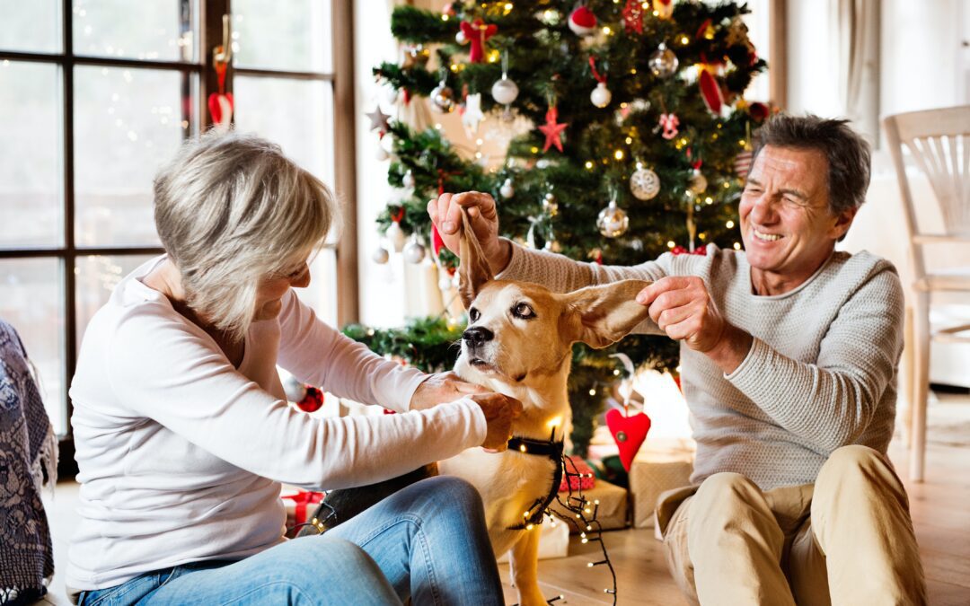 Ensuring a Merry Holiday Season for Senior Pets